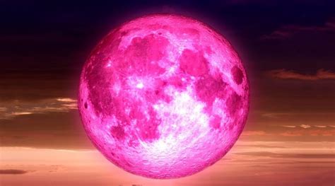 photo pleine lune rose
